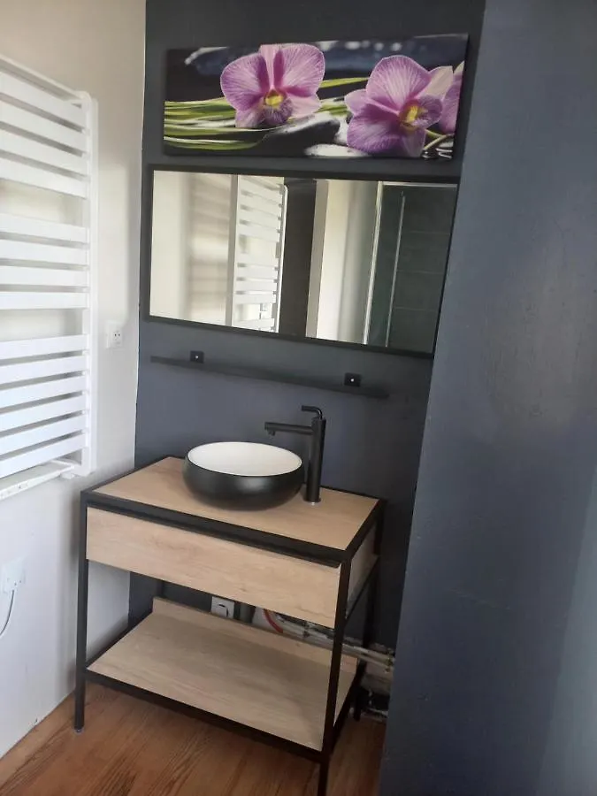 Evelyne Apartment Tarbes